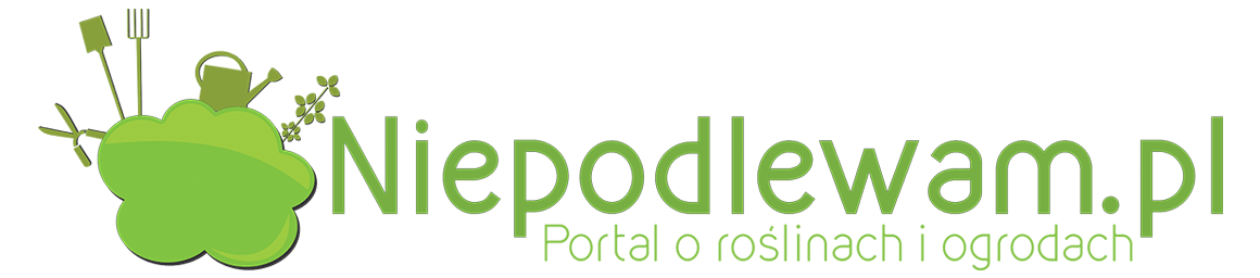 Niepodlewam.pl